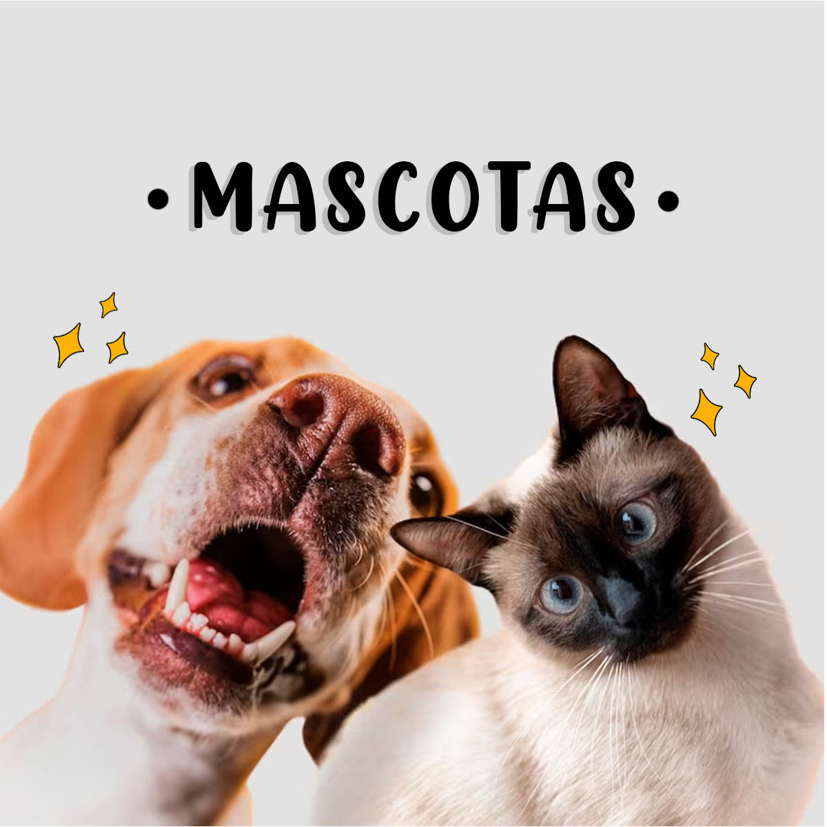 MASCOTAS